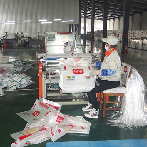 Bag cutting and sewing department